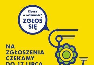 Ruszyła 33. edycja konkursu „Warszawa w Kwiatach i Zieleni”