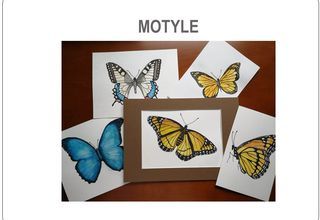 Obrazki namalowanych motyli