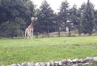 Nauczmy się rozmawiać Nauczmy się rozmawiać