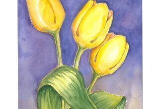 Kompozycja z trzech żółtych tulipanów na fioletowym tle
