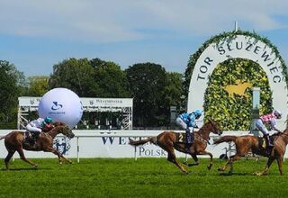 Zdjęcie biegnących koni na Torze Wyścigów Konnych