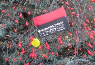 Zdjęcie: Apteczka zielarska w krzakach głogu