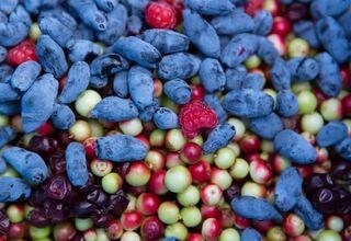 Zdjęcie owoców, foto: https://zdrowie.gazeta.pl/