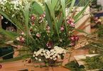 Warsztaty florystyczne „Letnie dylematy”