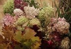 Kwiaty: pokaz i warsztaty florystyczne