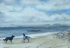 Grażyna Śleszycka, Psy z widokiem na wyspę Eigg