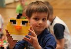 LEGO Twórcze Budowanie: Angry Birds