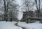 Bogactwo naszej Ziemi