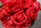 Florystyka: Kwiaty na Walentynki
