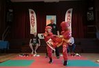 III Otwarte Mistrzostwa Karate All Style o puchar Dyrektora Domu Kultury „Zacisze”