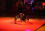 II Podlasko-Mazowiecki Festiwal Freestyle- Martial Arts