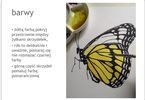 Slajd o barwach potrzebnych do namalowania motyla