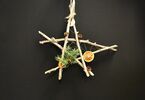 Ręcznie wykonana gwiazda betlejemska, ozdobiona gałązkami choinki oraz suszoną pomarańczą