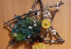 Gwiazda betlejemska ozdobiona dekoracją z gałązek choinki, szyszek i suszonych owoców