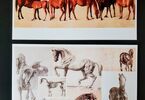 Obrazy koni i ich anatomii, które stworzył George Stubbs.