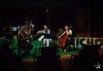 Koncert na trawie: Vinyl String Quartet - klasycznie półszeptem