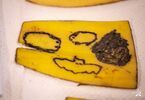 Skórka od banana z wytatuowanym wzorem