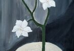 Martwa natura: biały kwiat.