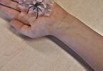 Eksponat pająka na dłoni dziecka