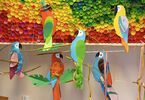 Wystawa własnoręcznie robionych przez dzieci różnokolorowych papug