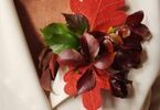 Kolorowe liście dekorują bluzkę seniorki
