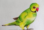 Zielono-żółta papuga