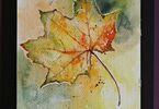 Kolorowy  jesienny liść klonu