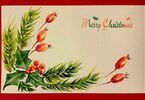 Kartka świąteczna z napisem Merry Christmas