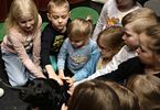 Dzieci głaszczą czarną labradorkę