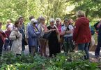 Seniorzy oglądają roślinność w ogrodzie botanicznym