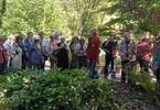 Seniorzy oglądają roślinność w ogrodzie botanicznym