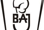 Zdjęcie logo Teatru Baj.