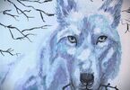Zdjęcie: Obraz w technice akrylu, wilk