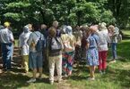 Grupa seniorów stojąca tyłem