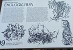 Wyjście UTW: Park Akcji Burza