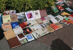 Zdjęcie: książki rozłożone na chodniku, w tle krzaki
