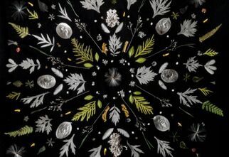 Mandala na czarnym tle wykonana z suszonych liści, kwiatów i nasion.