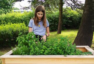 Michalina - wolontariuszka przy skrzyni z ziołami i owocami