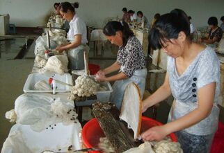 Zdjęcie chińskich kobiet pracujących przy taśmie produkcyjnej