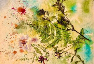 Zdjęcie: Akwarelowa kompozycja z suszonymi kwiatami i roślinami