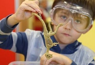 Zdjęcie: Chłopiec w ochronnych okularach trzymający dinozaura - zabawkę w dłoniach