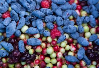 Zdjęcie owoców, foto: https://zdrowie.gazeta.pl/