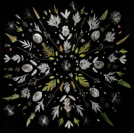 Mandala na czarnym tle wykonana z suszonych liści, kwiatów i nasion.