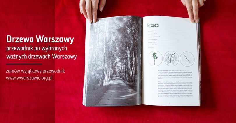 Zdjęcie otwartej książki Drzewa Warszawy. Przewodnik po wybranych ważnych drzewach Warszawy. Szczegóły w artykule.