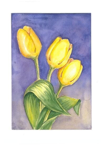 Kompozycja z trzech żółtych tulipanów na fioletowym tle