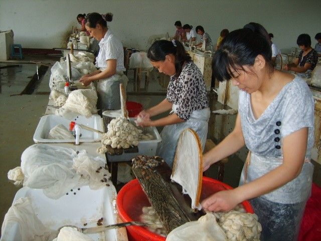 Zdjęcie chińskich kobiet pracujących przy taśmie produkcyjnej