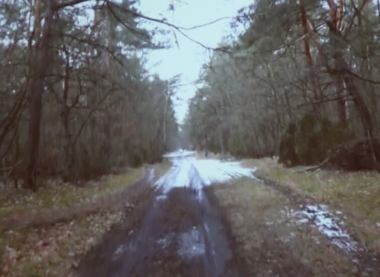 Leśna droga.