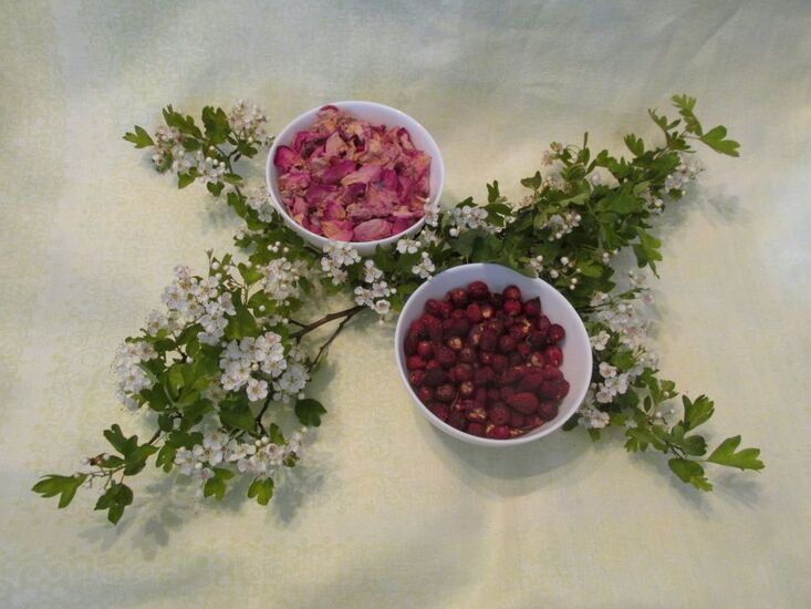 Zdjęcie dzikiej róży: płatków, liści, konfitury