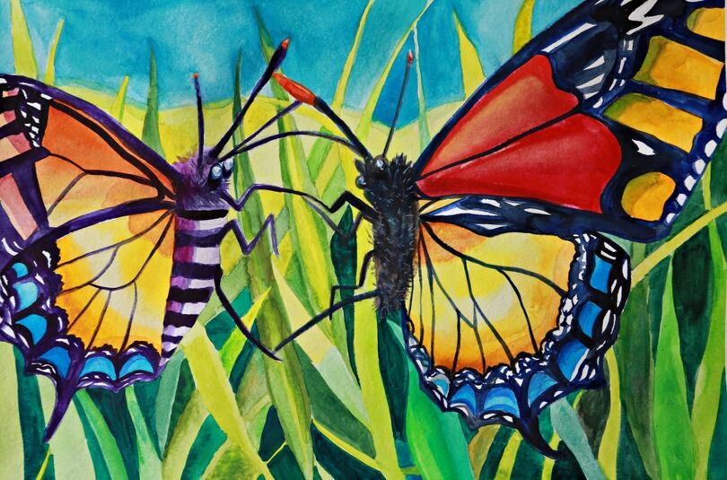 Kolorowe motyle w trawie