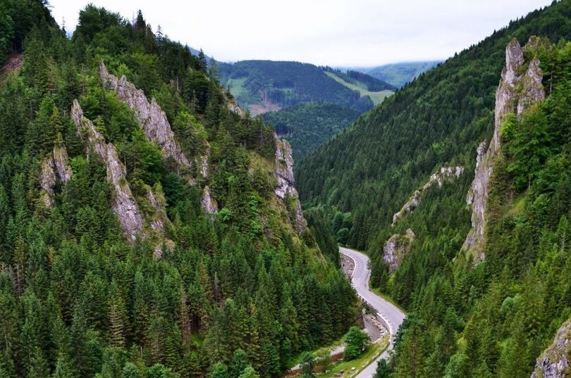 Zdjęcie zalesionych gór w Słowacji, foto: https://www.mywaytoheaven.pl/2017/08/sladami-janosika-czyli-zbojnickim.html